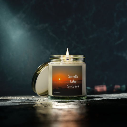 659 Coconut Apricot Wax Scented Candles